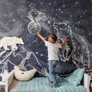 MALUMI - WALLPAPER NIGHT SKY - BEARS