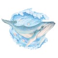 wall sticker whale