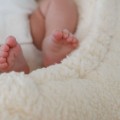 cream teddy baby nest