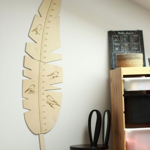 CUT IT NOW - HEIGHT MEASUREMENT FEATHER