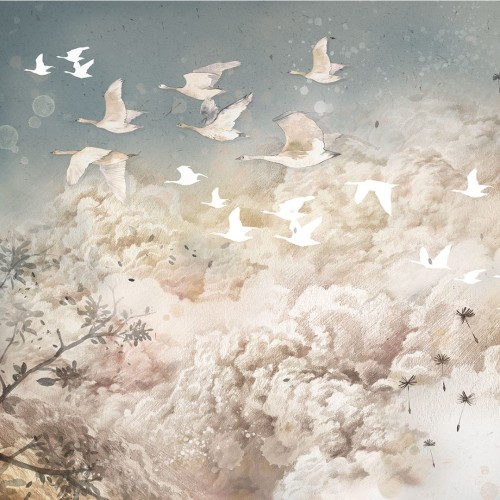 wallpaper dream evening white