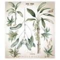 wall sticker jungle botanics