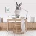 rabbit harry wall sticker