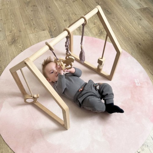 baby gym for girl