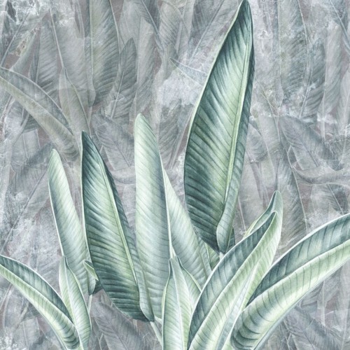 wallpaper jungle leaves