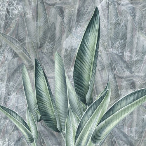 wallpaper jungle leaves