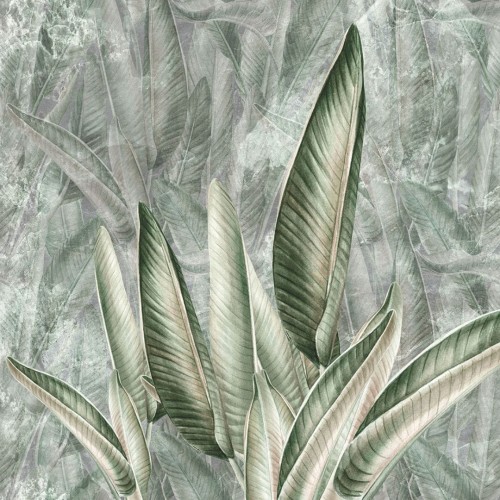 wallpaper jungle leaves