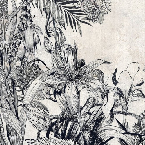 wallpaper leaves black and white