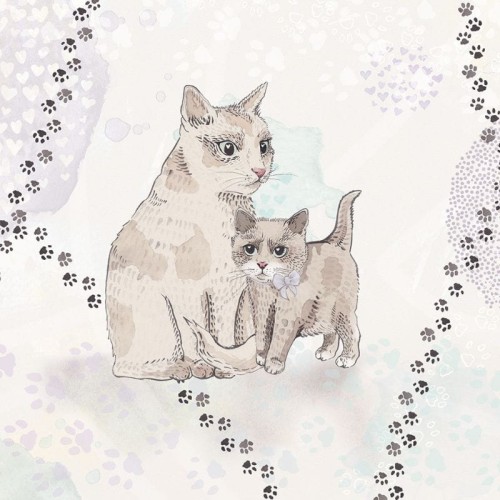CATS WALLPAPER FOR GIRLS ROOM