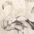 WALLPAPER EXOTIC FLAMINGO