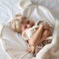 sleeping bag sleepover teddy