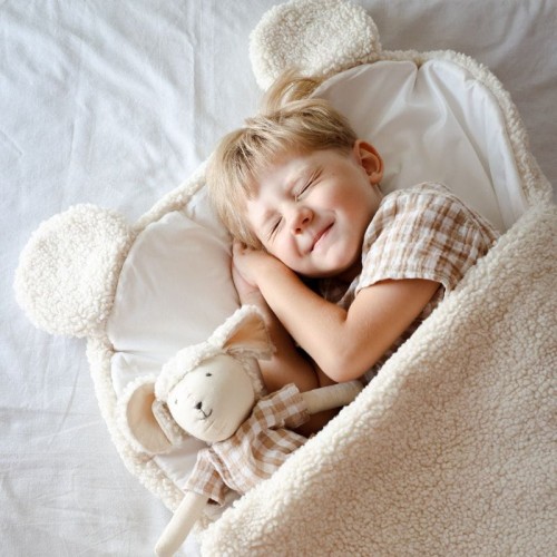 sleeping bag sleepover teddy