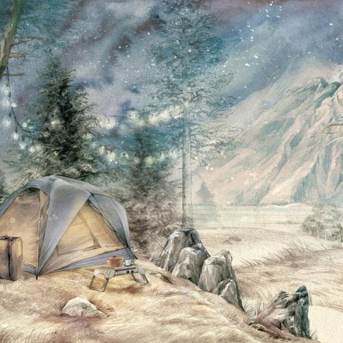 wallpaper summer camp night