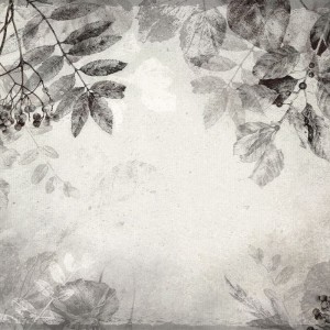 MALUMI - WALLPAPER HERBARIUM WARM GREY