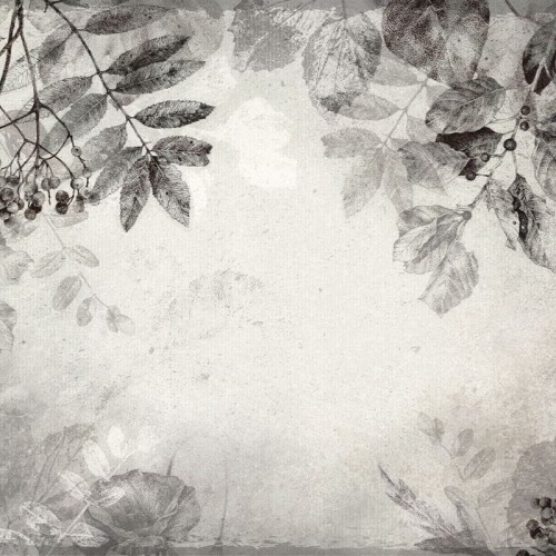 wallpaper herbarium warm grey