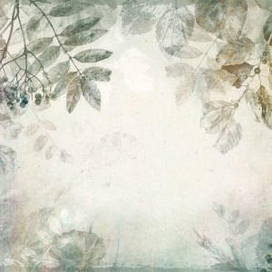 MALUMI - WALLPAPER HERBARIUM MINT